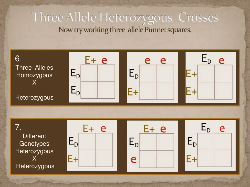 three allele heterozygous crosses now try working