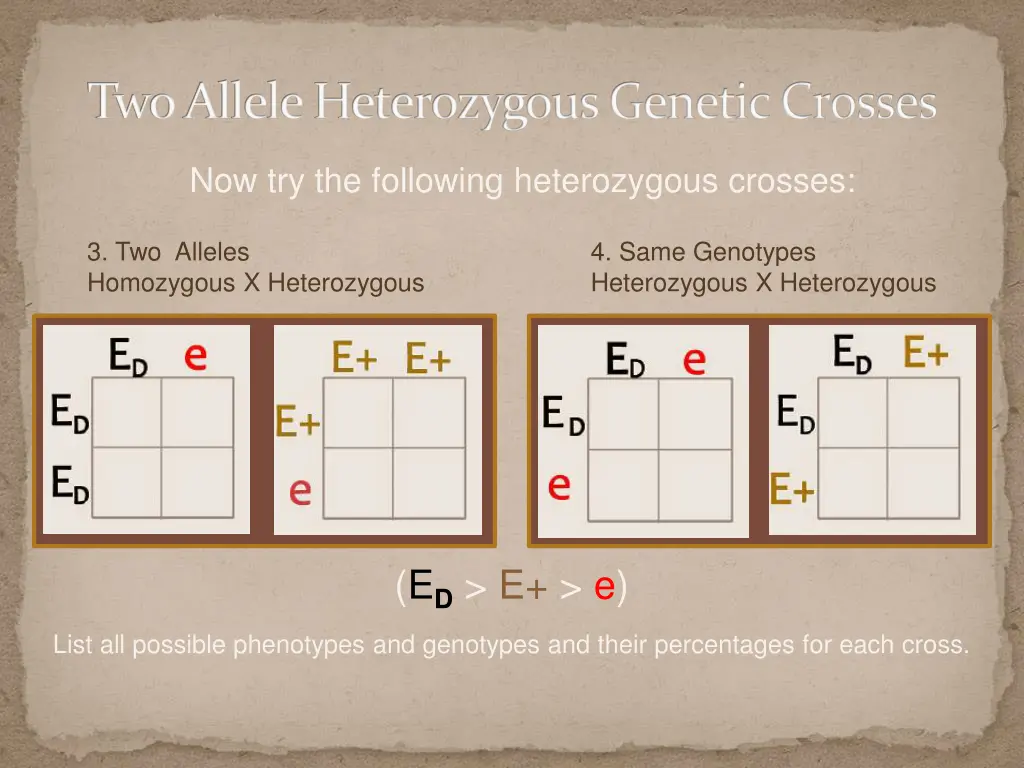 two allele heterozygous genetic crosses