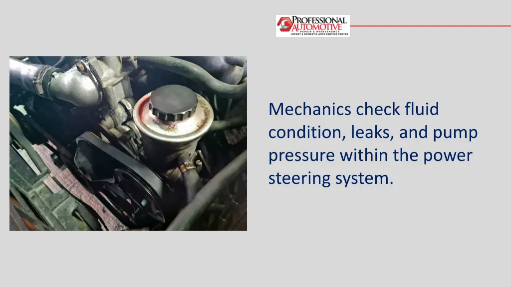 mechanics check fluid condition leaks and pump