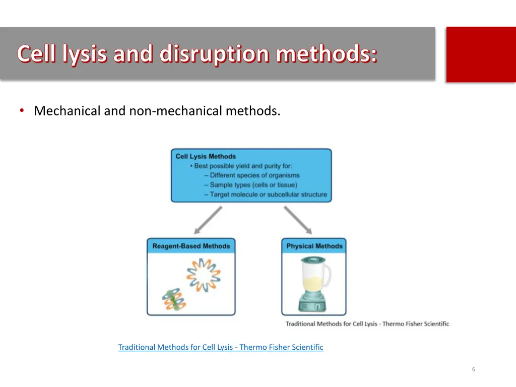 cell lysis and disruption methods