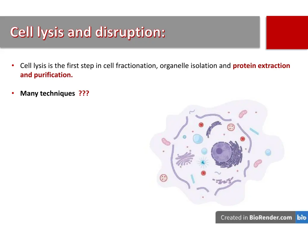 cell lysis and disruption