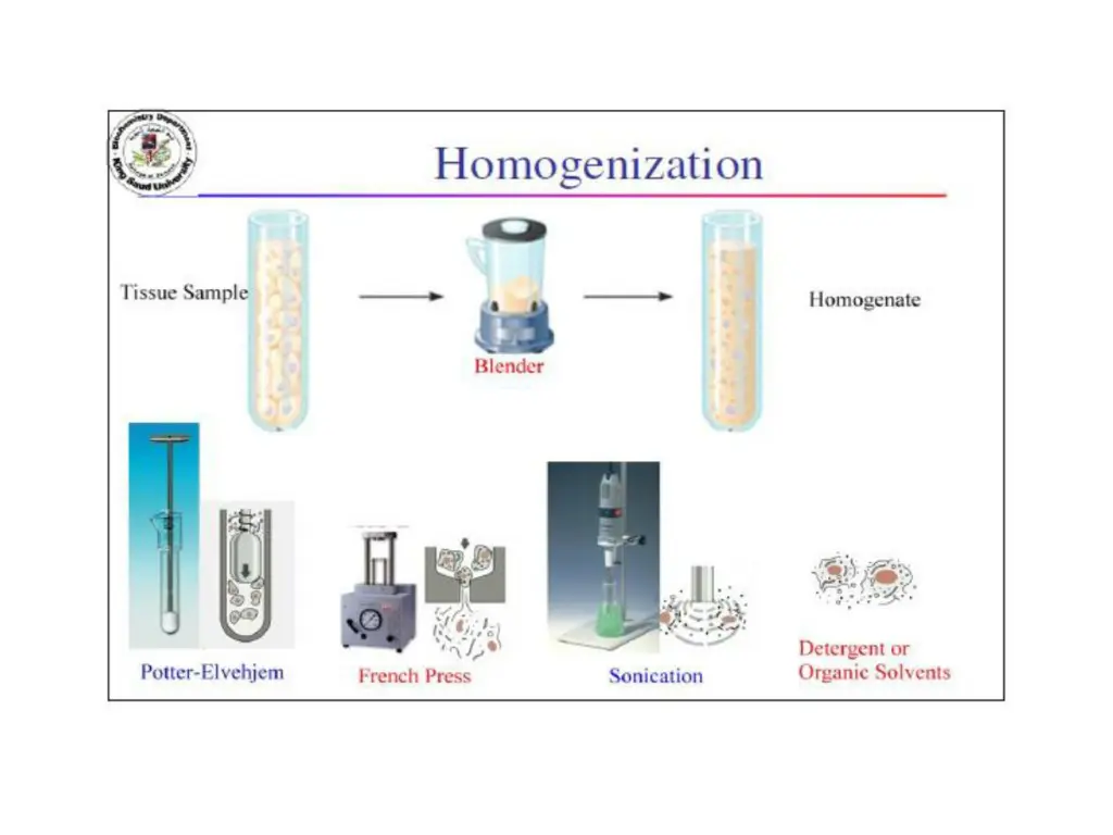 slide4