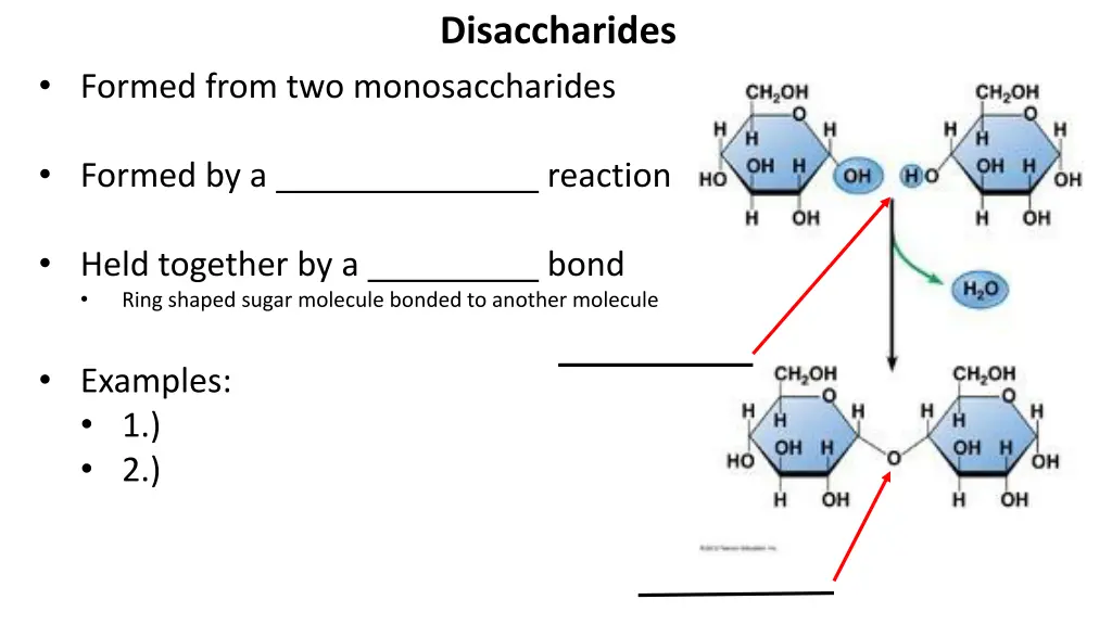 disaccharides