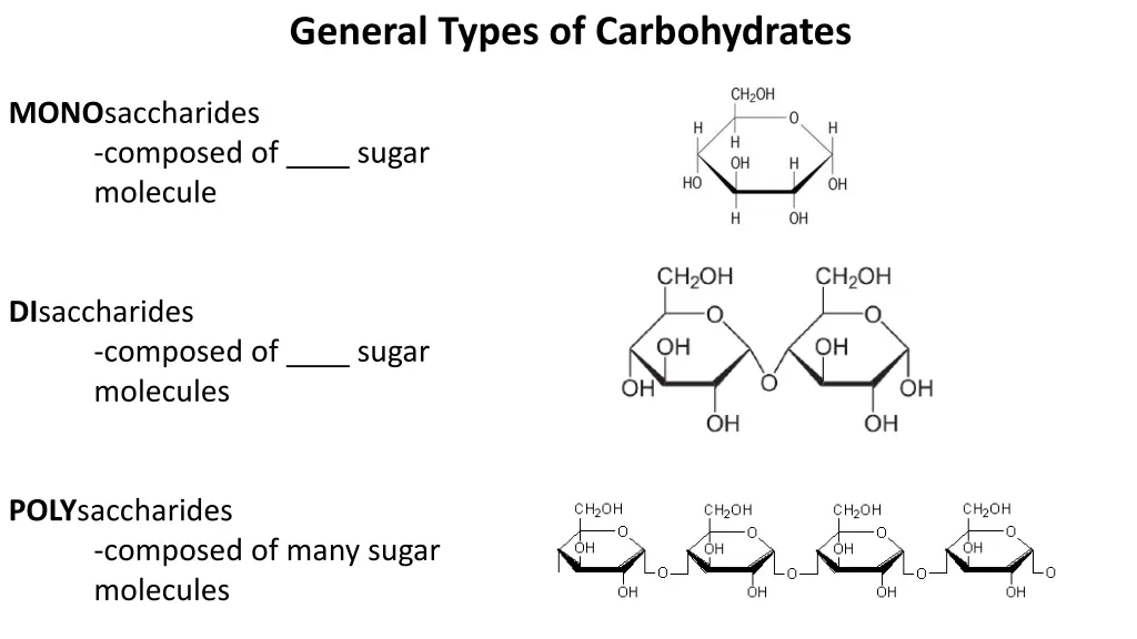 general types of carbohydrates