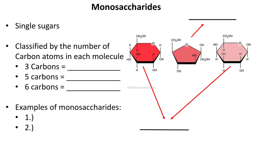 monosaccharides