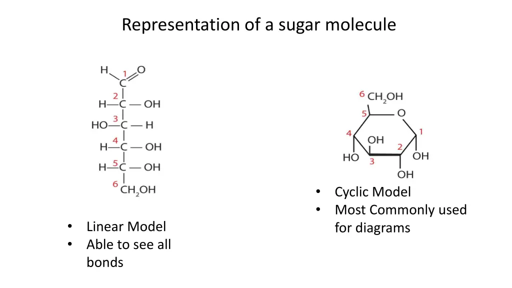 representation of a sugar molecule