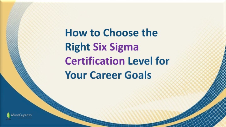 how to choose the right six sigma certification