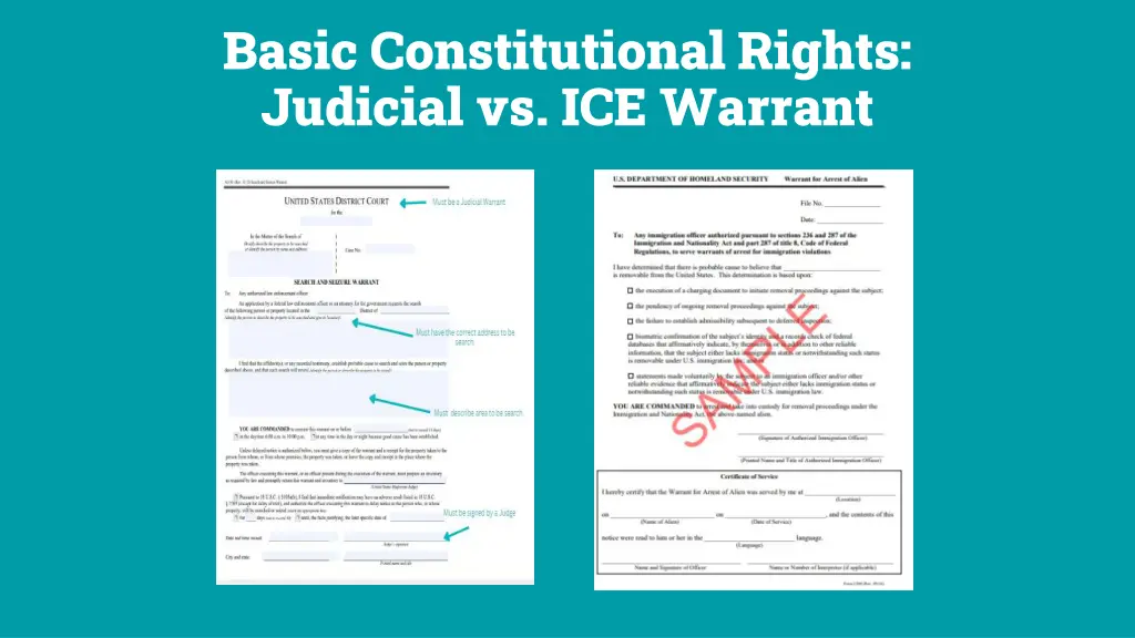 basic constitutional rights judicial