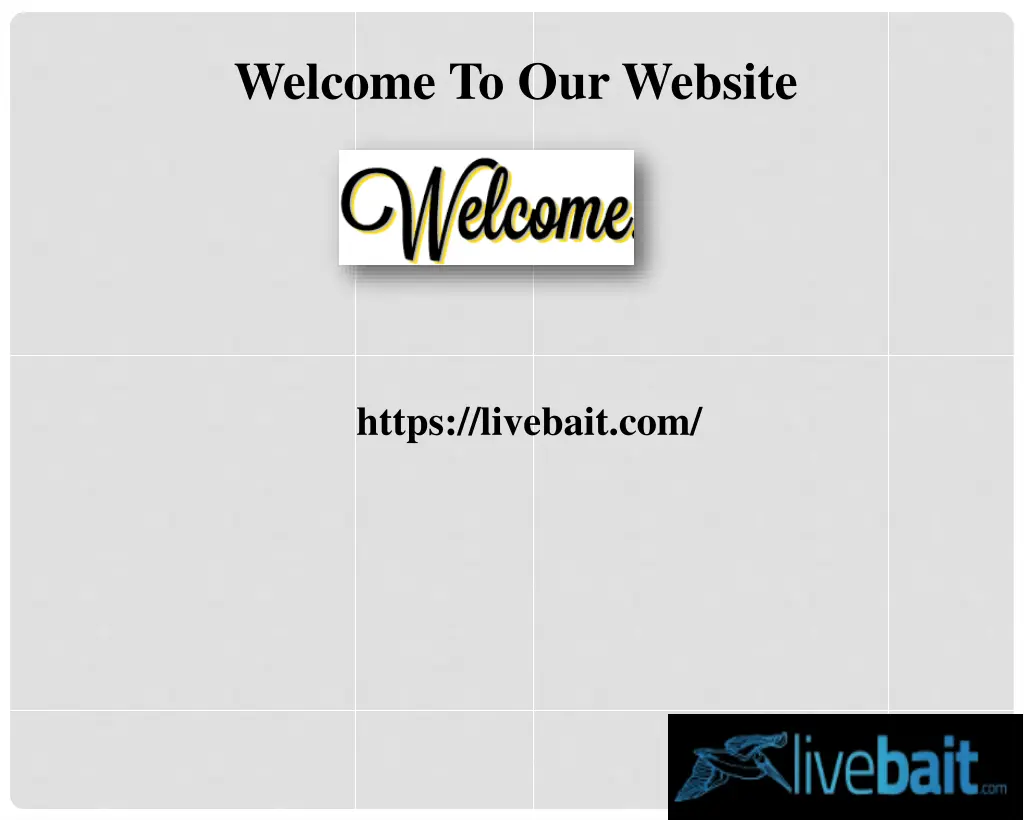 welcome to our website