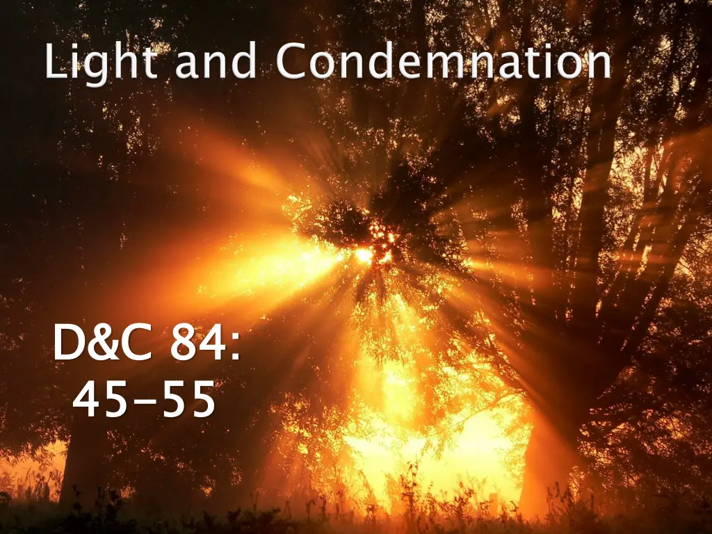 d c 84 45