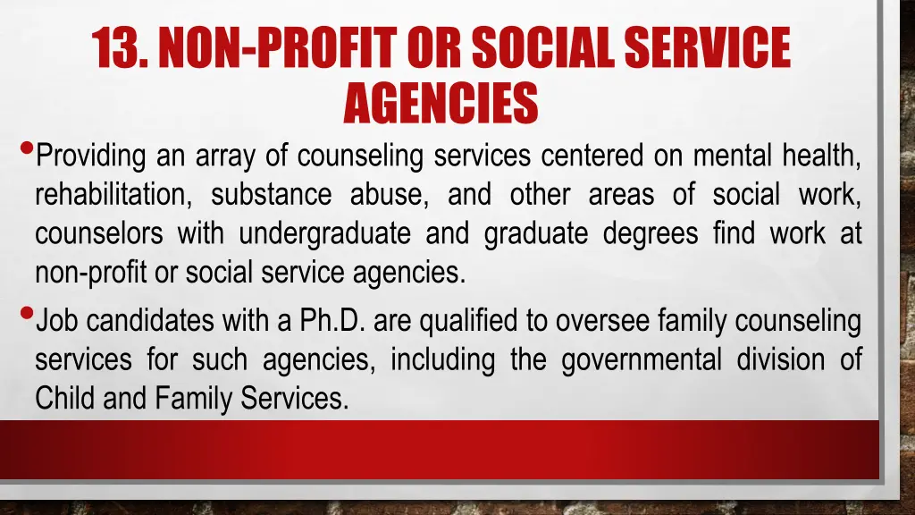 13 non profit or social service agencies