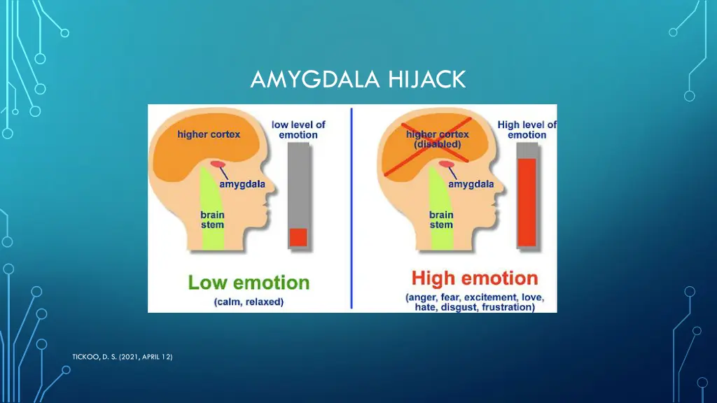 amygdala hijack