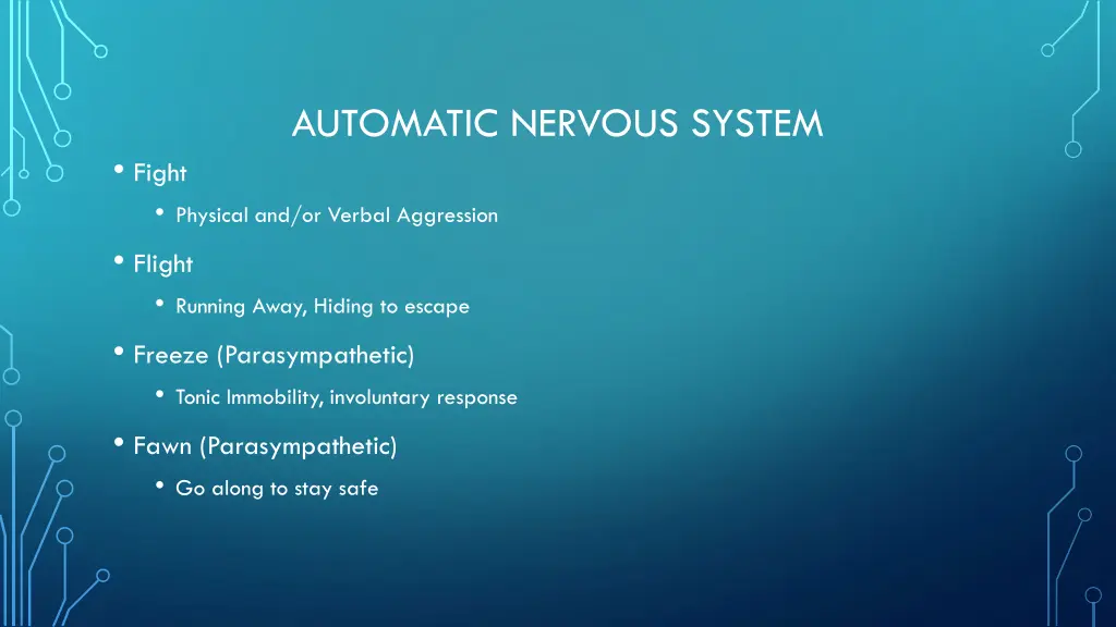 automatic nervous system