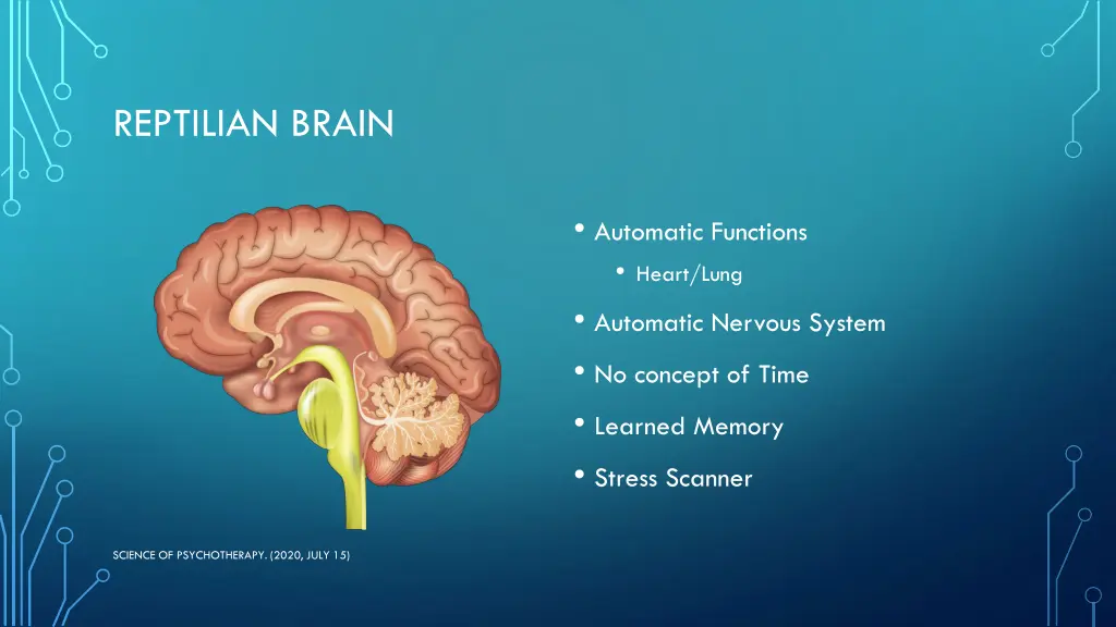 reptilian brain