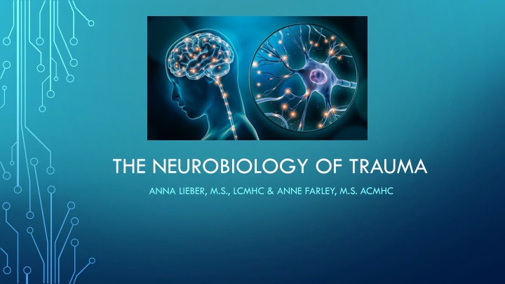 the neurobiology of trauma