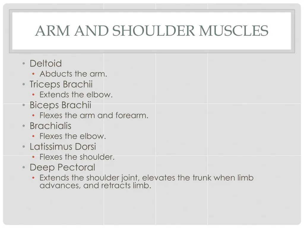 arm and shoulder muscles 1