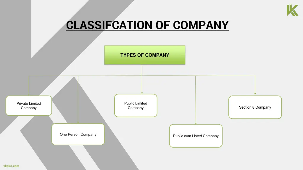 classifcation of company