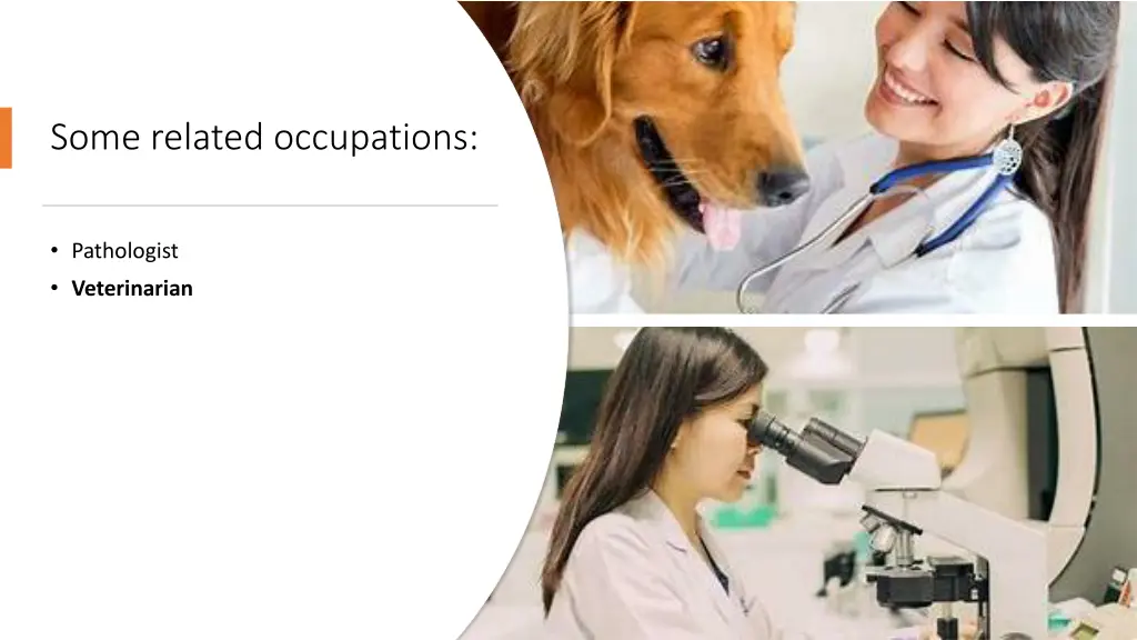 some related occupations