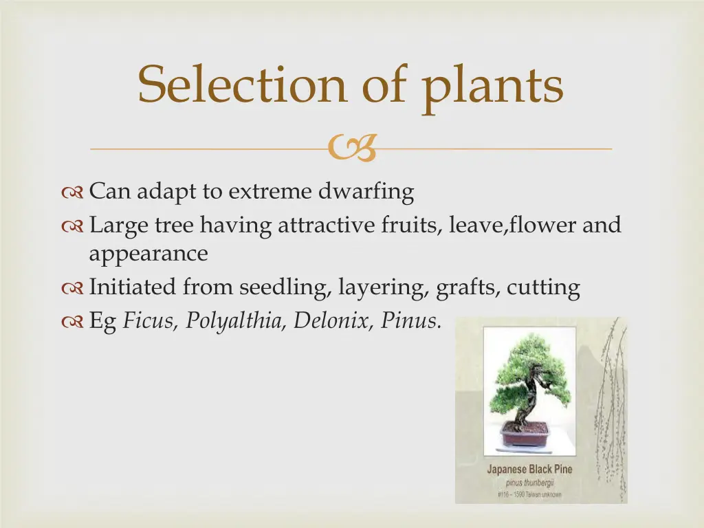 selection of plants