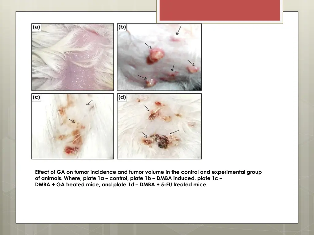 effect of ga on tumor incidence and tumor volume