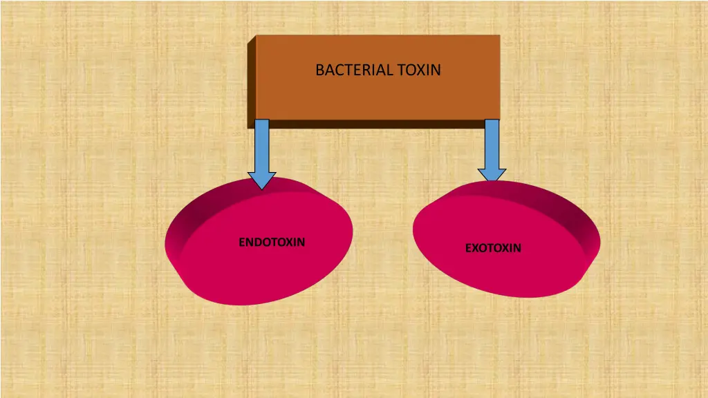 bacterial toxin