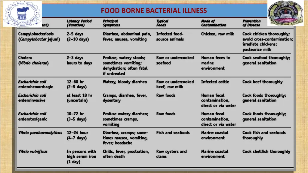 food borne bacterial illness 1
