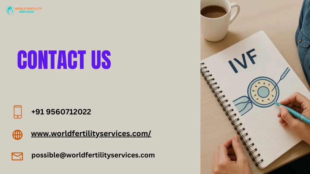 contact us