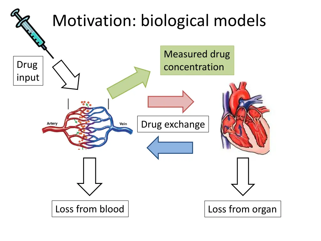 motivation biological models