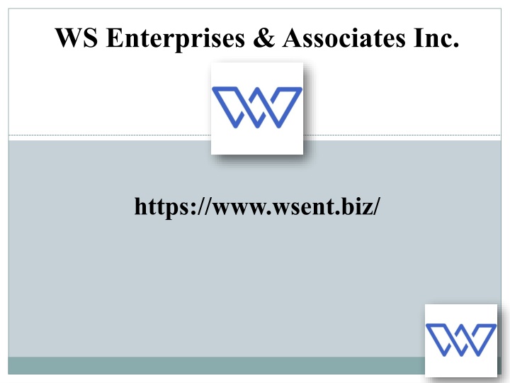 ws enterprises associates inc