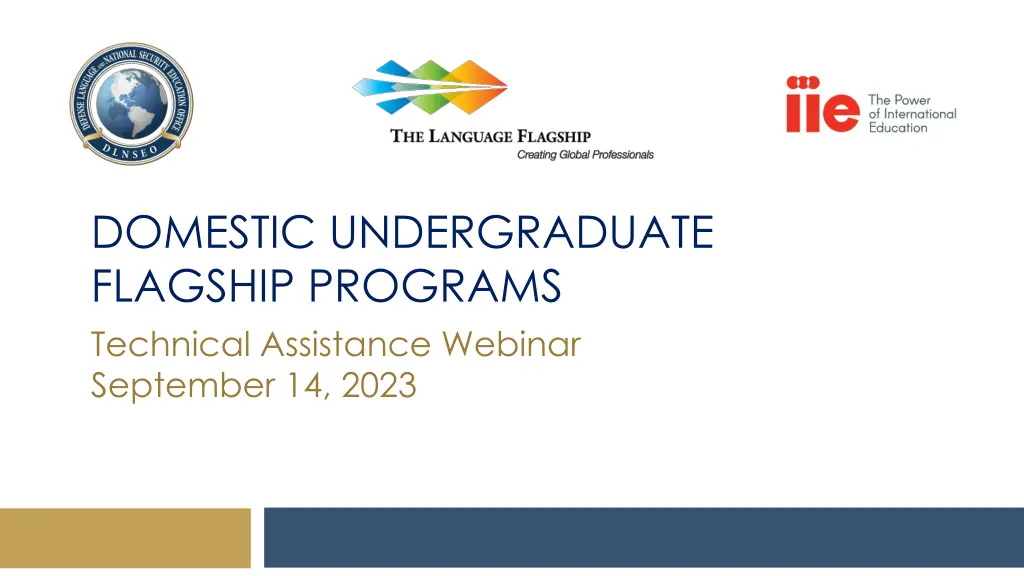 domestic undergraduate flagship programs