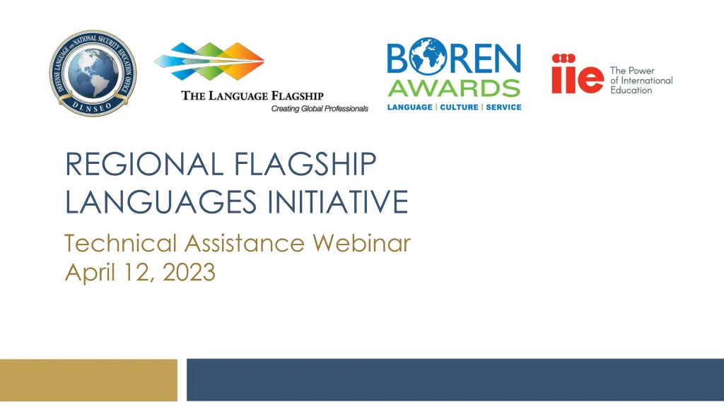 regional flagship languages initiative technical