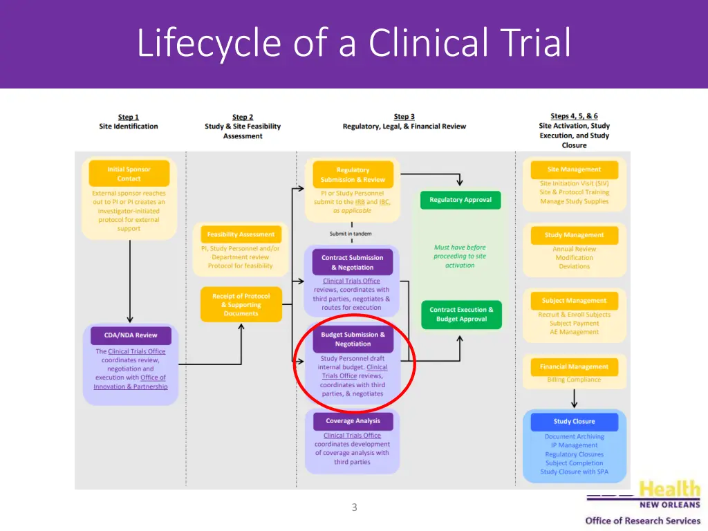 lifecycle of a clinical trial