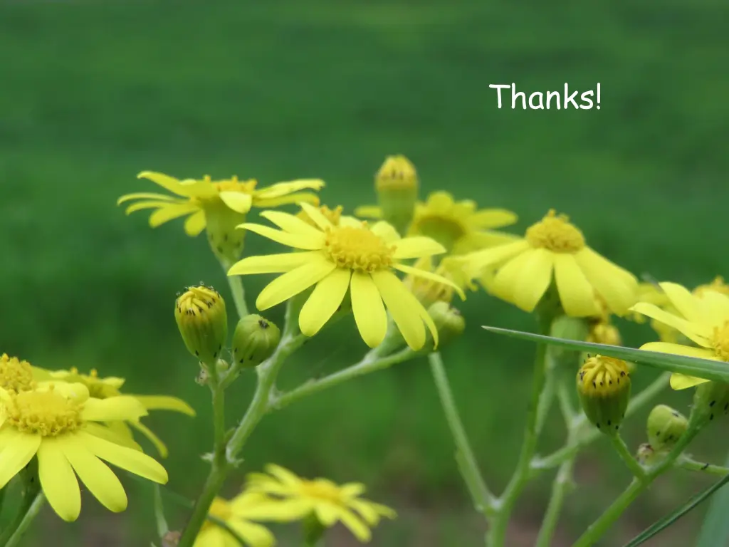 thanks