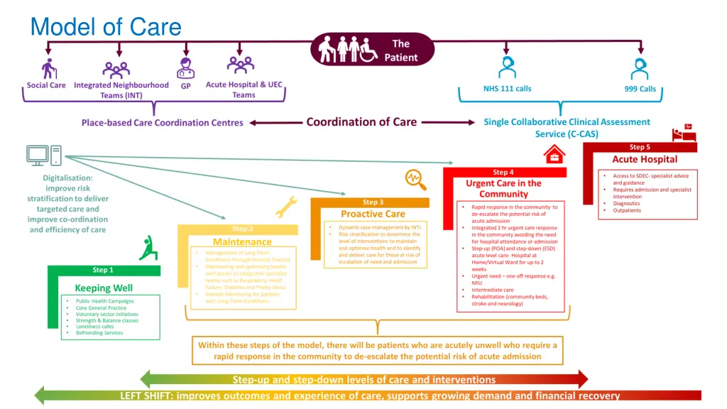 model of care