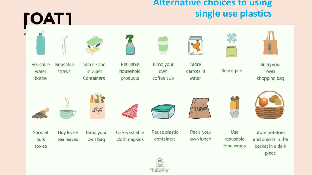 alternative choices to using single use plastics