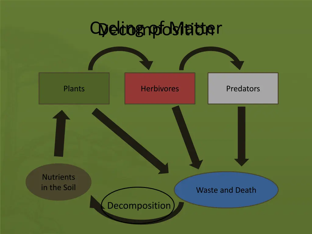 cycling of matter decomposition