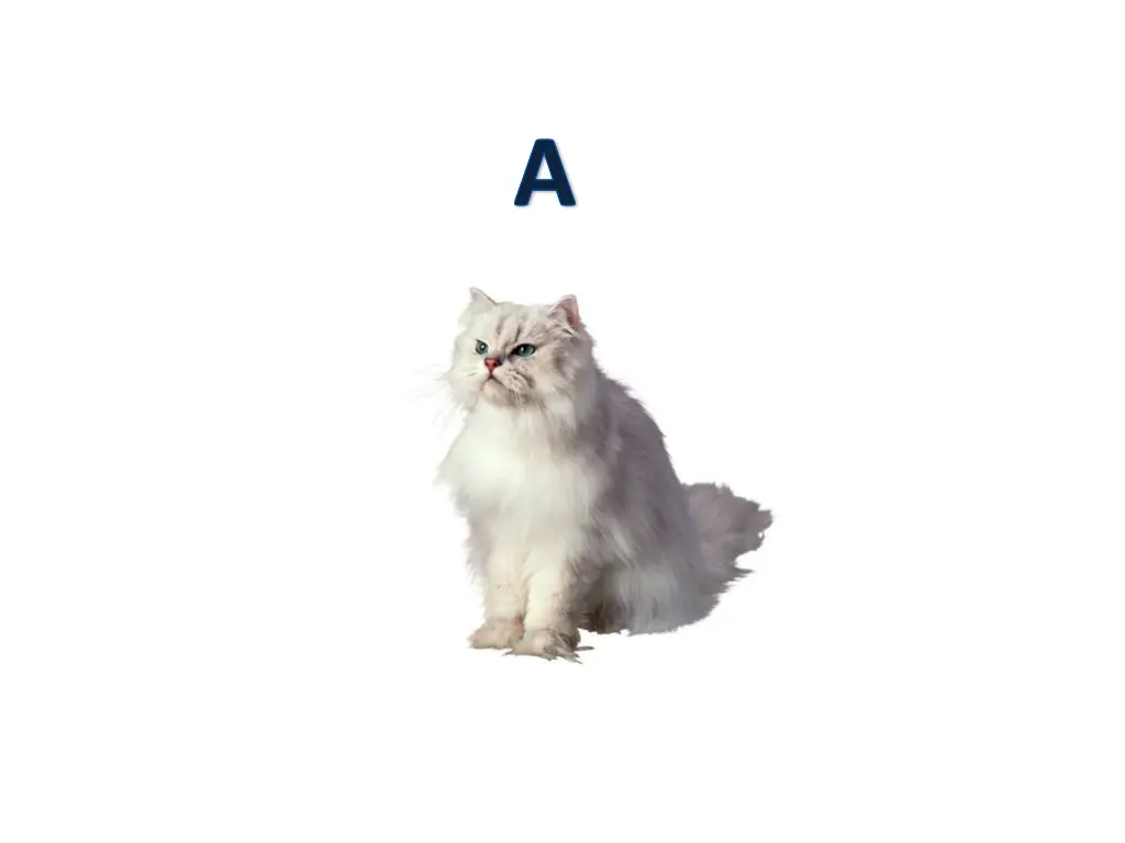 slide3