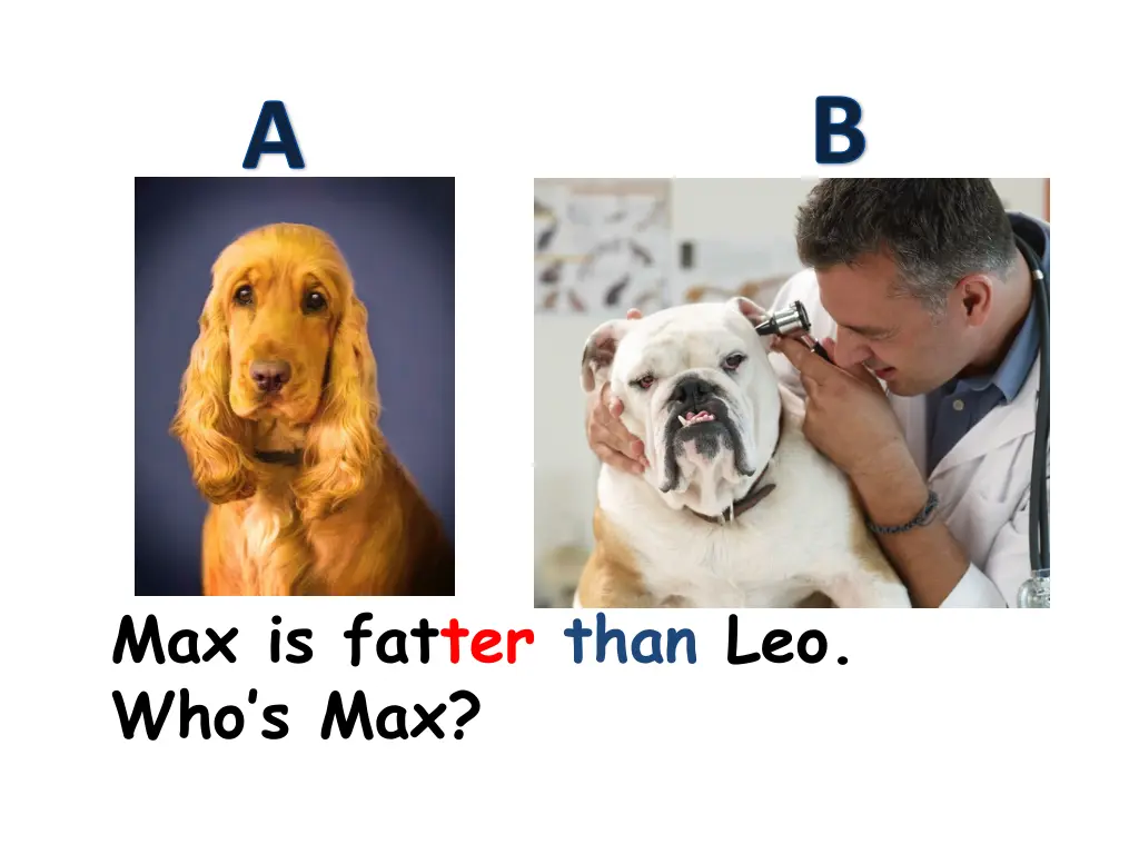 slide8