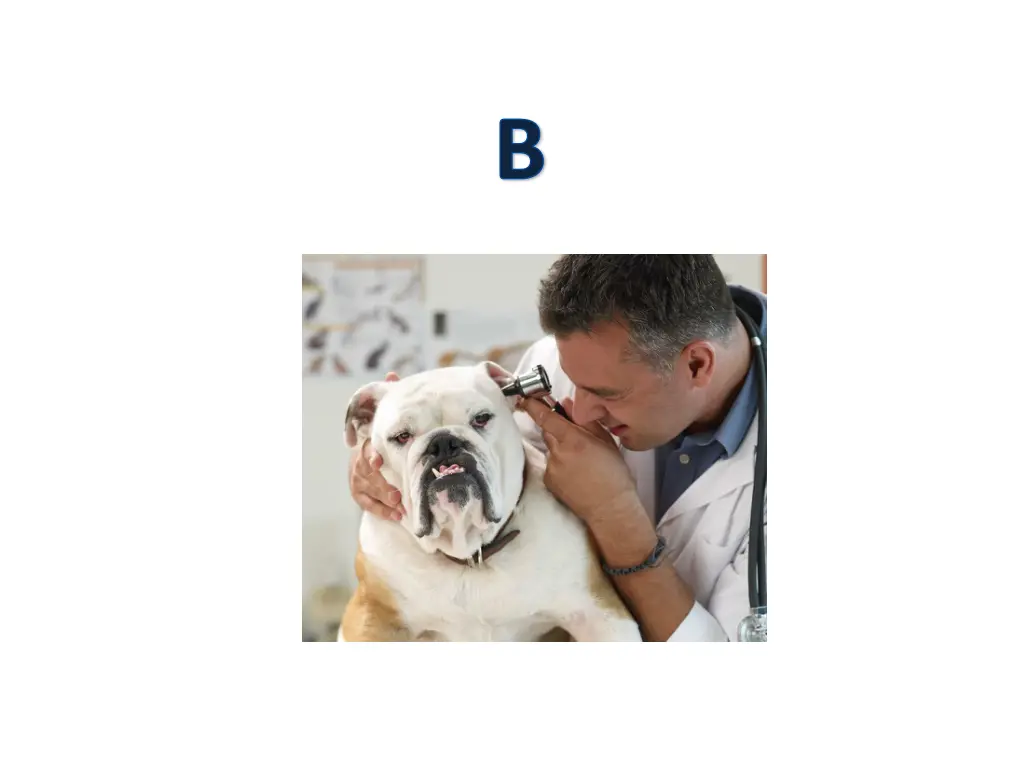 slide9