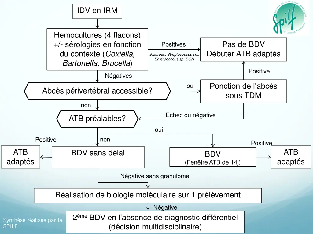 idv en irm