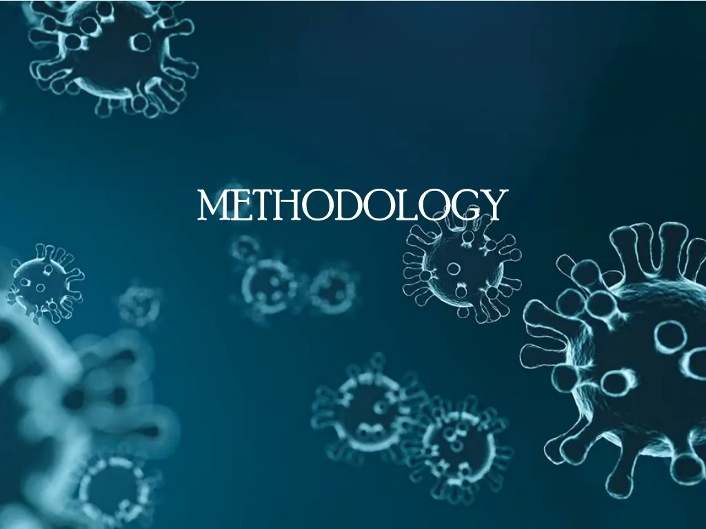 methodology