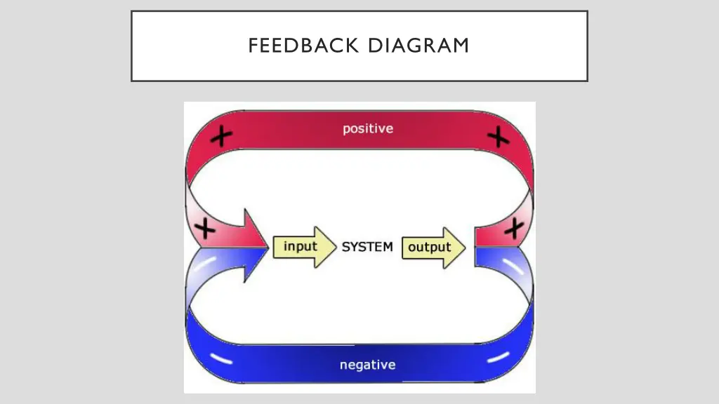 feedback diagram