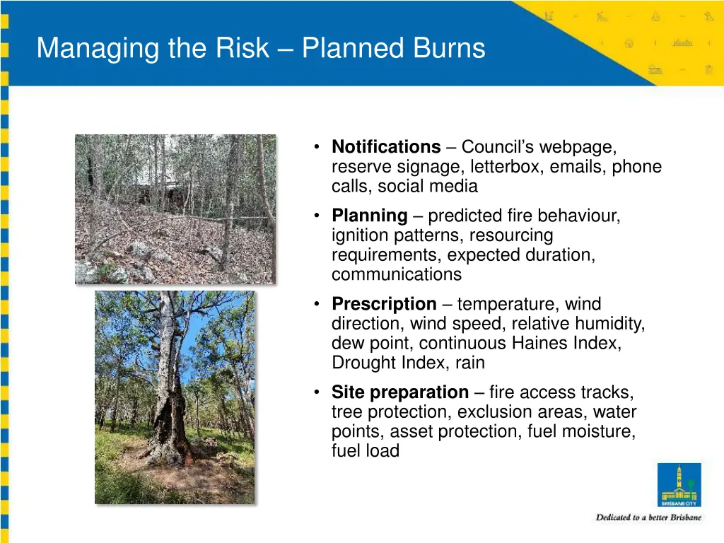 managing the risk planned burns