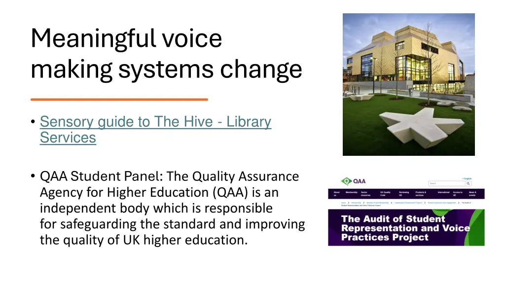 meaningful voice making systems change