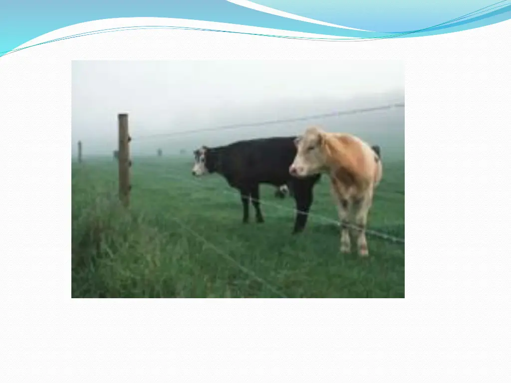 slide7