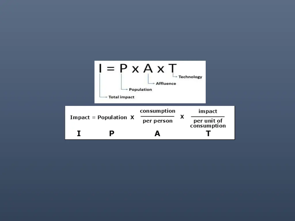slide24