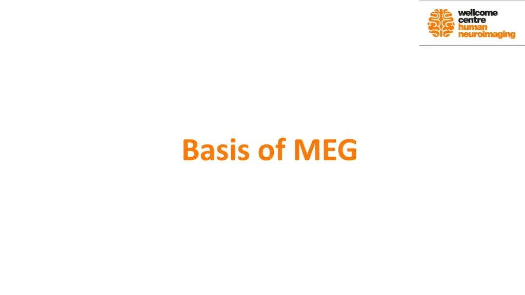 basis of meg