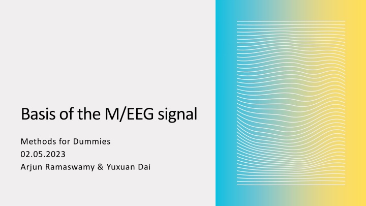 basis of the m eeg signal