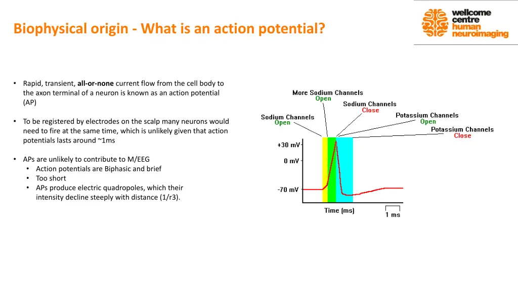 biophysical origin what is an action potential