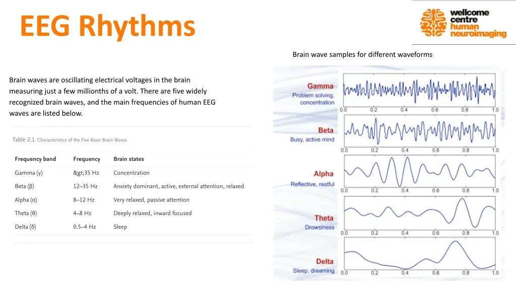 eeg rhythms